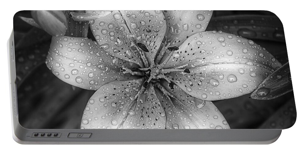 Tiger Lily Portable Battery Charger featuring the photograph After the Rain by Scott Norris