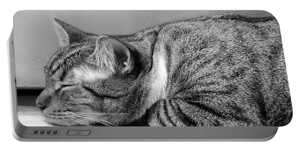 Cat Portable Battery Charger featuring the photograph Afternoon Cat Nap by Georgette Grossman