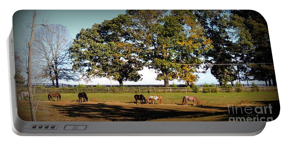 Horses Portable Battery Charger featuring the photograph Afternoon in the sun at Blue Horse Rescue by Rabiah Seminole