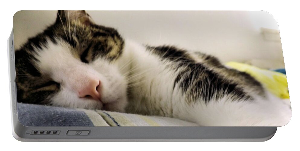 Cat Portable Battery Charger featuring the photograph Afternoon Nap by Robyn King