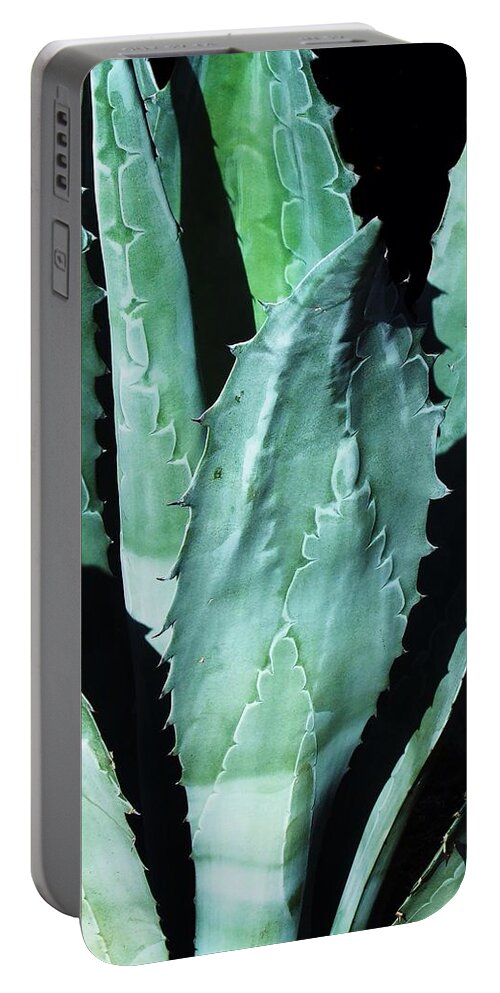 Agave Portable Battery Charger featuring the photograph Agave by Steve Ondrus