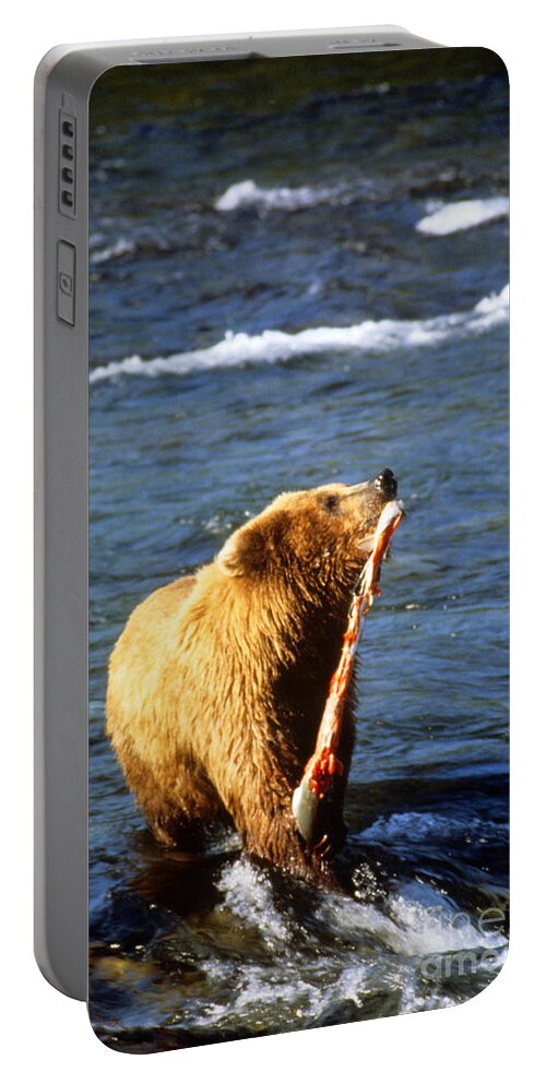Alaskan Brown Bear Portable Battery Charger featuring the photograph Alaskan Brown Bear Catching Salmon by Bill Bachmann