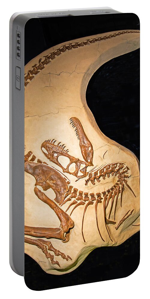 Nature Portable Battery Charger featuring the photograph Albertosaurus by Millard H. Sharp