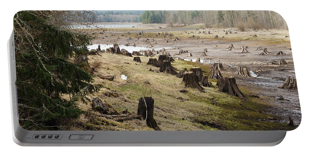 Wall Art Portable Battery Charger featuring the photograph Alder Lake by Ron Roberts