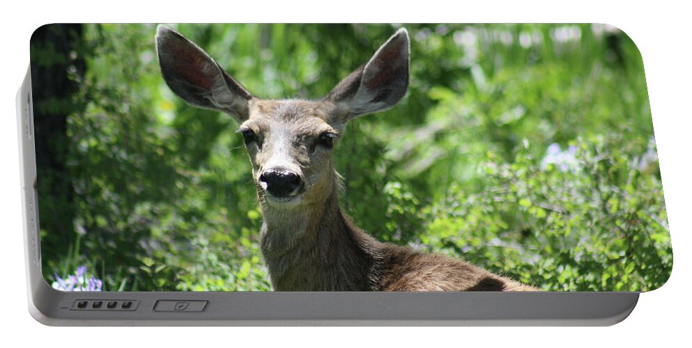 Deer Portable Battery Charger featuring the photograph Alert by Brandi Mavretic