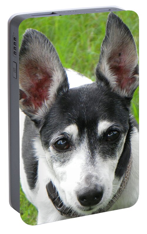 Dog Portable Battery Charger featuring the photograph All Ears by Rosalie Scanlon