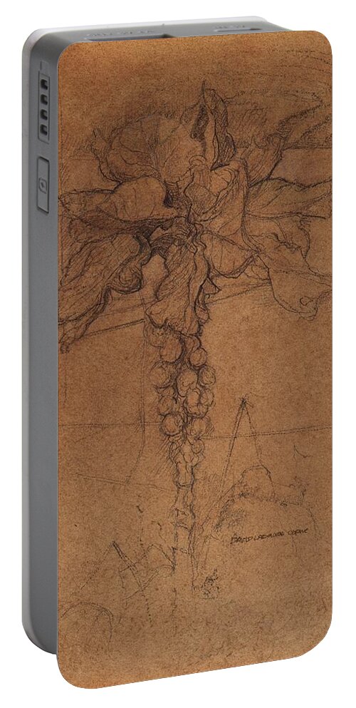 Plant Portable Battery Charger featuring the drawing Allotment Study by David Ladmore