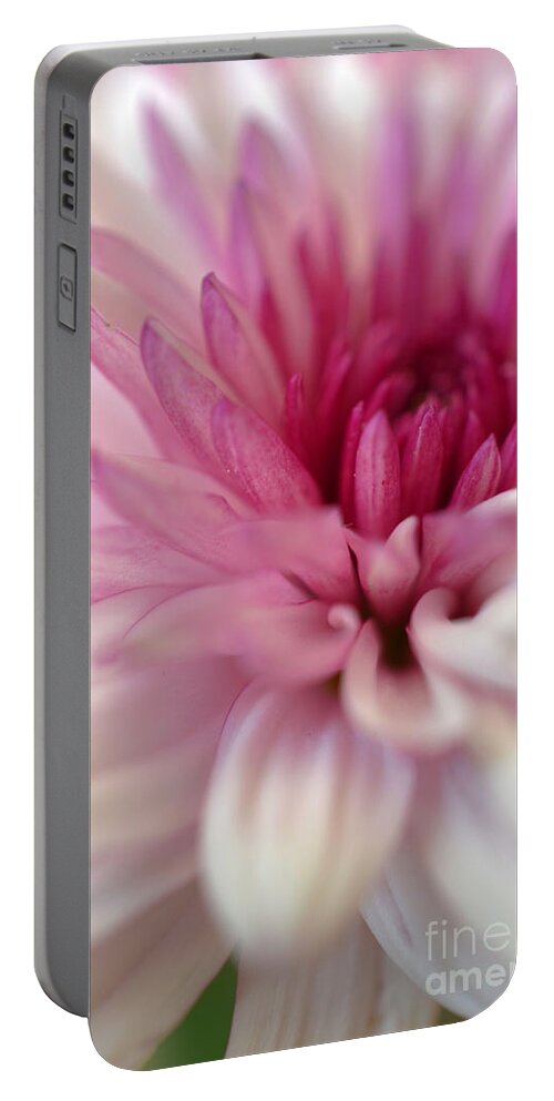 Chrysanthemum Portable Battery Charger featuring the photograph Alluring by Deb Halloran