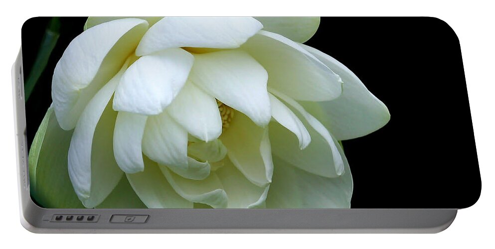 Macro Portable Battery Charger featuring the photograph Alluring Lotus by Sabrina L Ryan