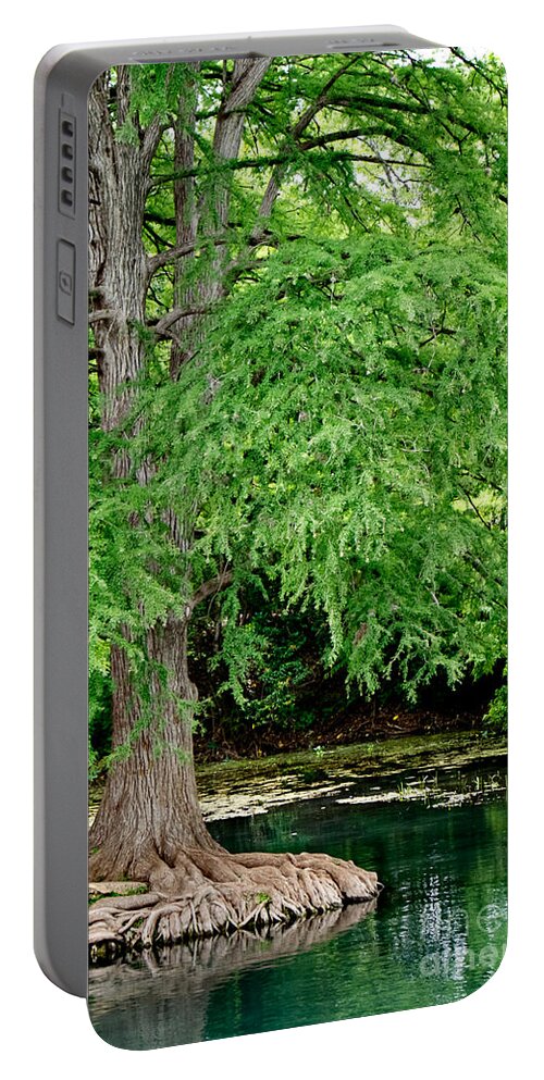 Cypress Portable Battery Charger featuring the photograph Along the River III by Gary Richards