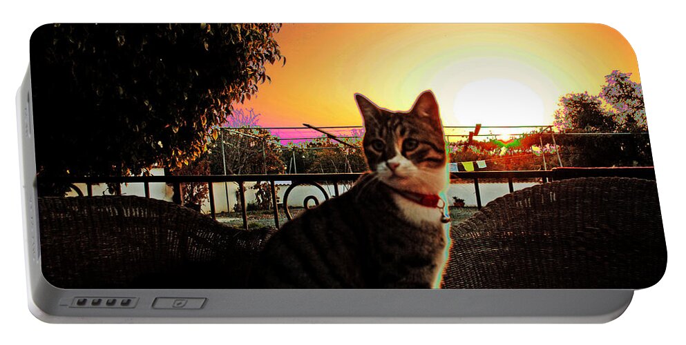Cyprus Cat Portable Battery Charger featuring the photograph Altered Cats Cyprus Rudolph by Anita Dale Livaditis