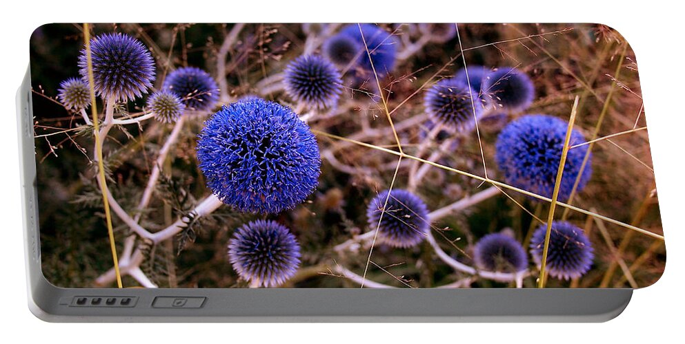 Thistle Portable Battery Charger featuring the photograph Alternate Universe by Rona Black