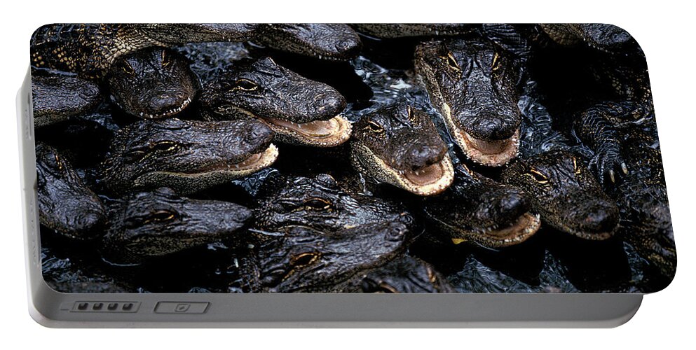 Alligator Portable Battery Charger featuring the photograph American Alligator Alligator by Gerard Lacz