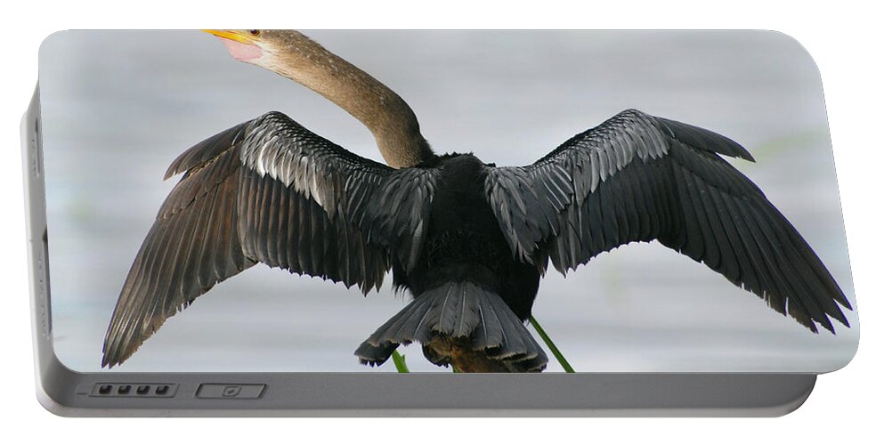 American Anhinga Portable Battery Charger featuring the photograph American Anhinga by Kenneth Murray