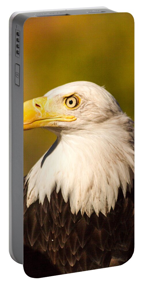 American Freedom Symbol Portable Battery Charger featuring the photograph American Bald Eagle by Teri Virbickis