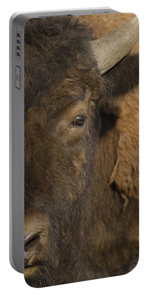 00210812 Portable Battery Charger featuring the photograph American Bison Male Wyoming by Pete Oxford