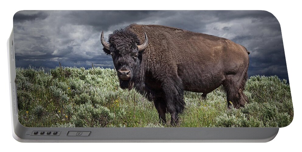 Bison Portable Battery Charger featuring the photograph American Buffalo or Bison in Yellowstone by Randall Nyhof