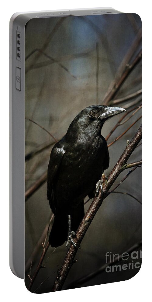 Crow Portable Battery Charger featuring the photograph American Crow by Lois Bryan