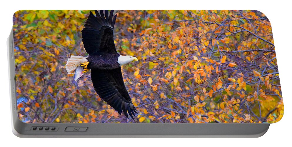Eagle Portable Battery Charger featuring the photograph American Eagle in Autumn by William Jobes