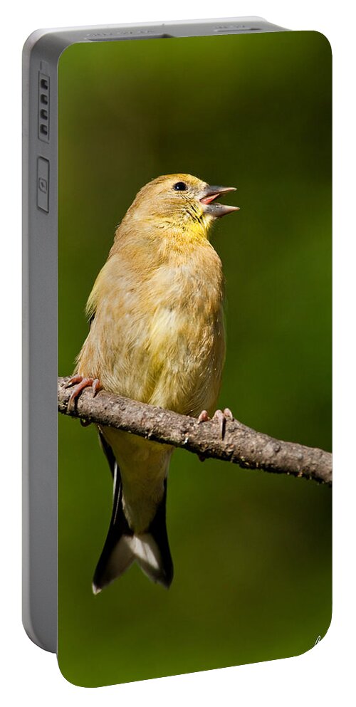 American Goldfinch Portable Battery Charger featuring the photograph American Goldfinch Singing by Jeff Goulden
