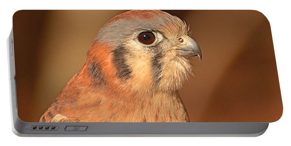 American Kestrel Portable Battery Charger featuring the photograph American Kestrel by Nancy Landry