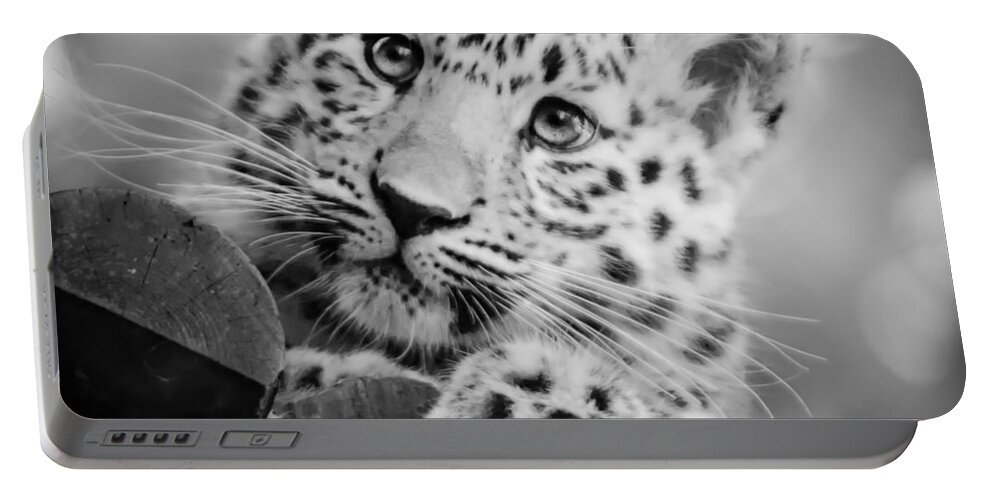 Amur Portable Battery Charger featuring the photograph Amur Leopard Cub Portrait by Chris Boulton