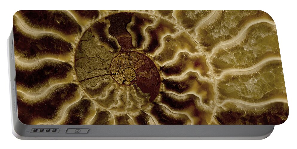 Ammonite Portable Battery Charger featuring the photograph An ancient ammonite pattern IV by Jaroslaw Blaminsky