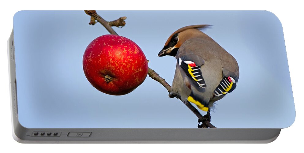 Waxwing Portable Battery Charger featuring the photograph An apple a day... by Torbjorn Swenelius