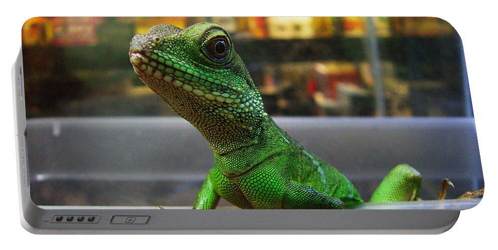 Gecko Portable Battery Charger featuring the photograph An Escape Artist by Xueling Zou