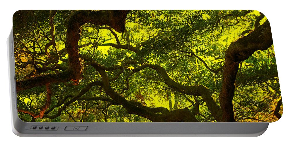 Angel Oak Portable Battery Charger featuring the photograph Angel Oak Limbs Crop 40 by Susanne Van Hulst