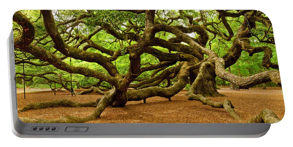 Nature Portable Battery Charger featuring the photograph Angel Oak Tree Branches by Louis Dallara