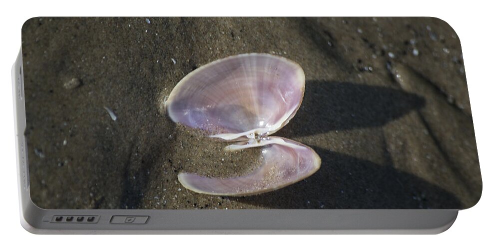 Sea Shell Portable Battery Charger featuring the photograph Angel Wings by Spikey Mouse Photography