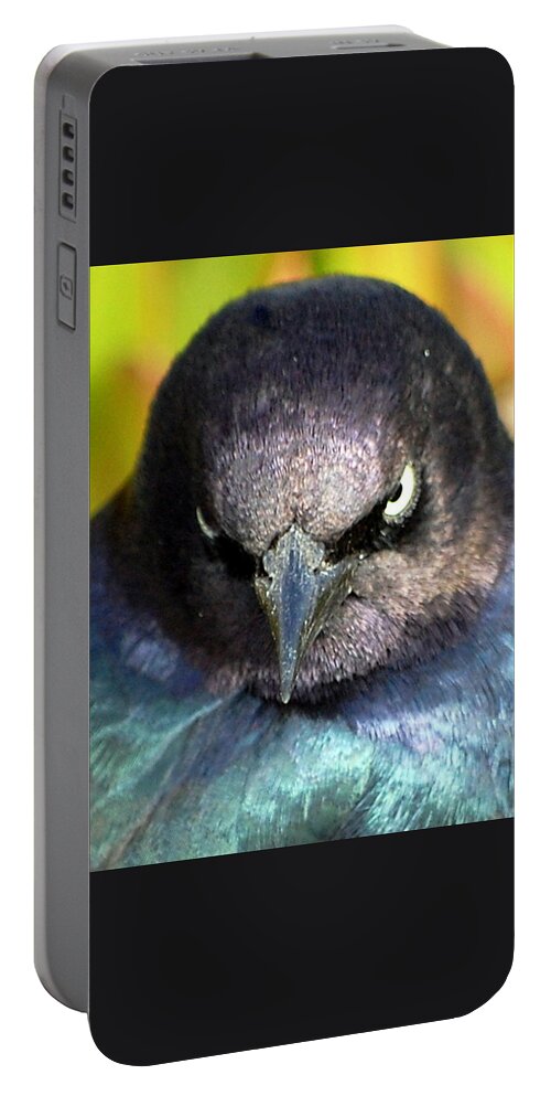 Bird Portable Battery Charger featuring the photograph Angry Bird by AJ Schibig