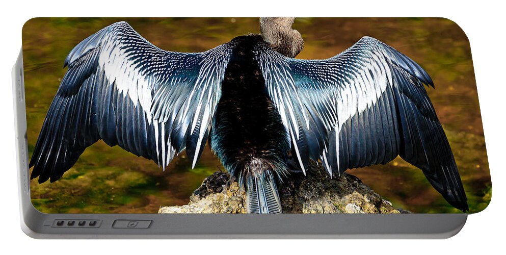 Anhinga Portable Battery Charger featuring the photograph Anhinga by Ben Graham