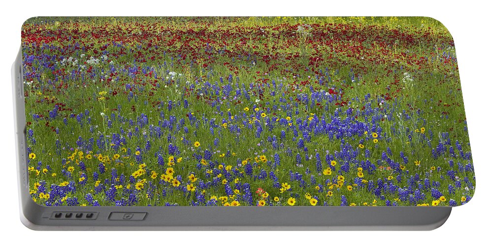 Feb0514 Portable Battery Charger featuring the photograph Annual Coreopsis Texas Bluebonnet by Tim Fitzharris