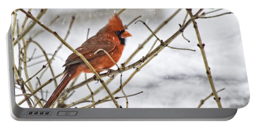 Cardinal Portable Battery Charger featuring the photograph Another Snowy Day by Jan Killian