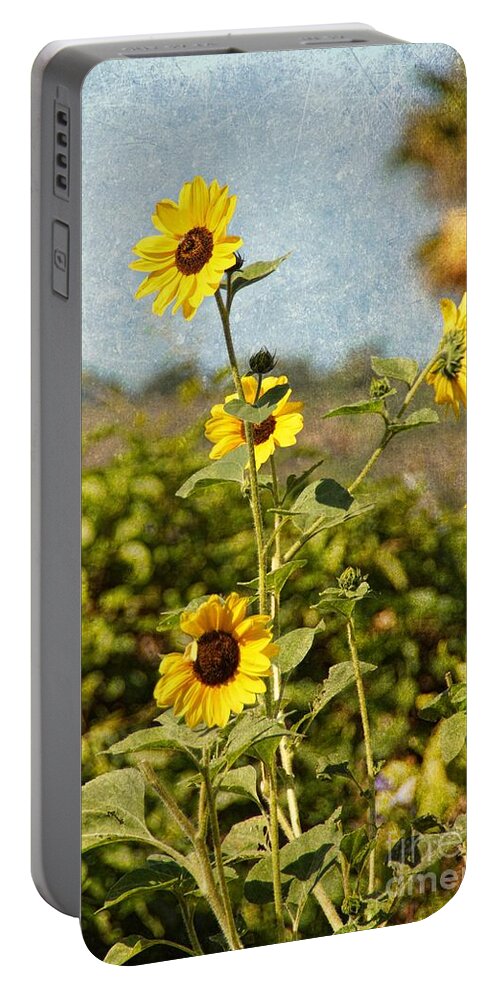 Rural Portable Battery Charger featuring the photograph Another sunny day in SoCal by Peggy Hughes