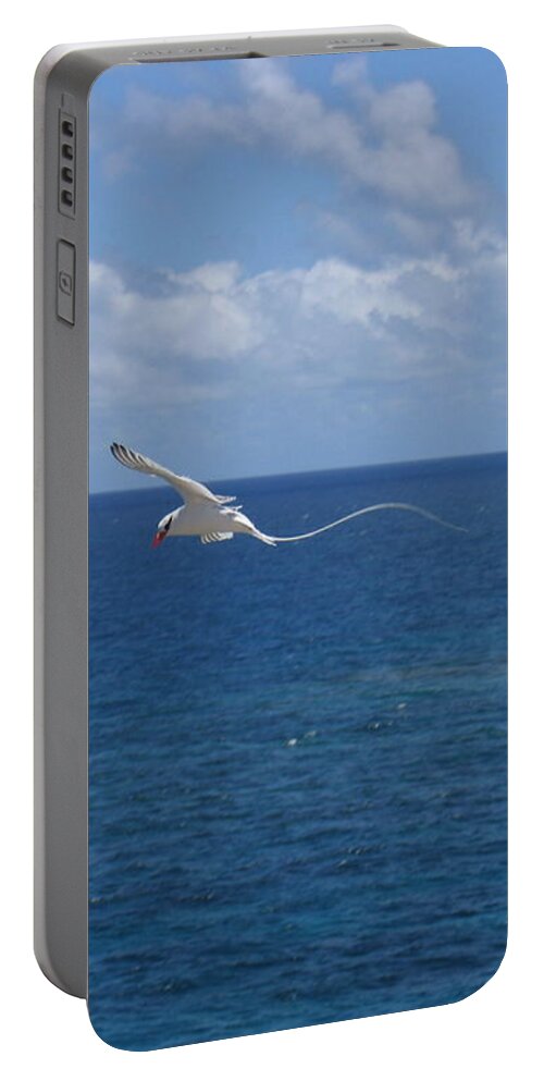 Seabird Portable Battery Charger featuring the photograph Antigua - In flight by HEVi FineArt