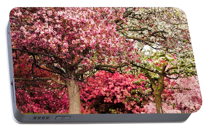 Minnesota Portable Battery Charger featuring the photograph Apple Blossoms by Joe Mamer