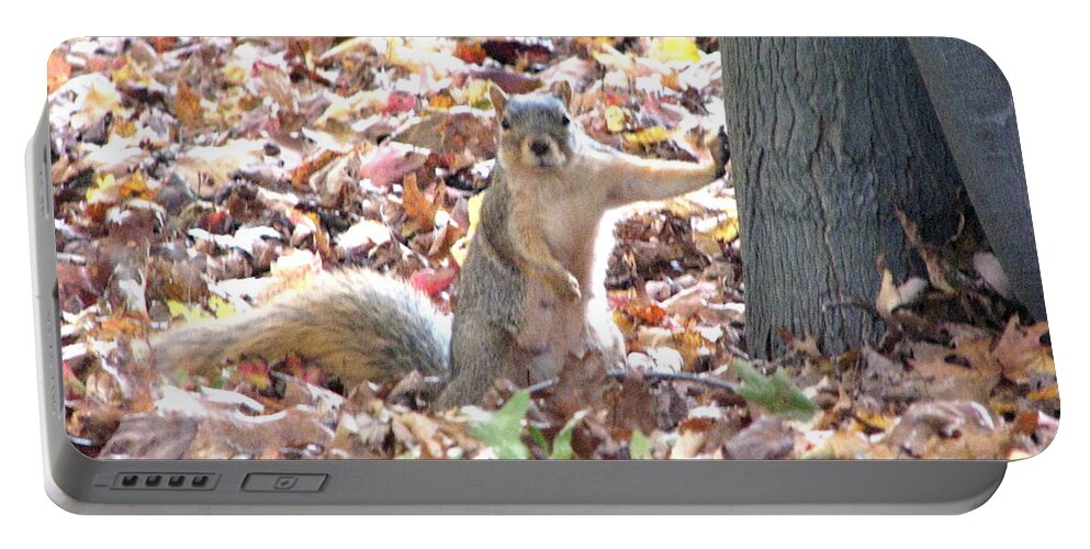 Squirrel Portable Battery Charger featuring the photograph Are you looking at me ? by Michael Krek