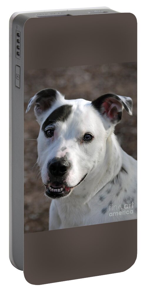Portrait Portable Battery Charger featuring the photograph Are You Looking At Me? by Savannah Gibbs