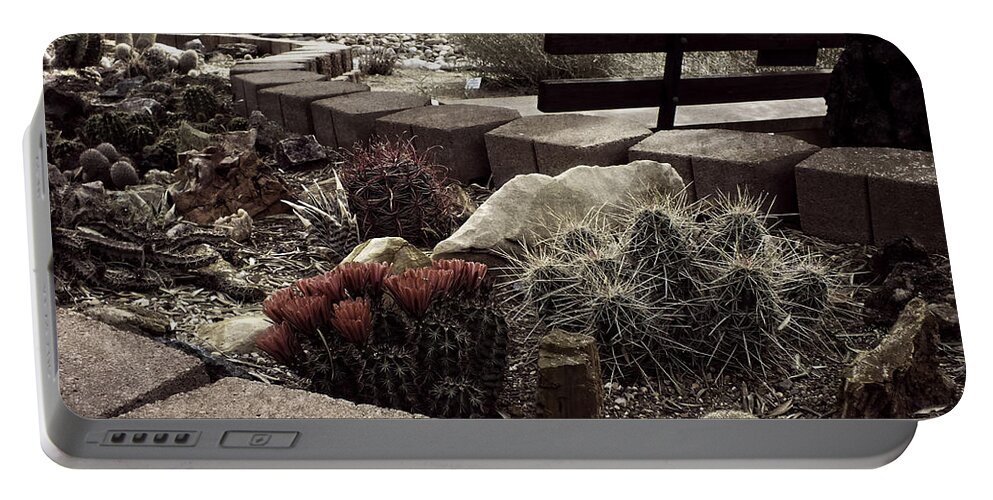 Arizona Portable Battery Charger featuring the photograph Arizona Arid Garden by Lucinda Walter