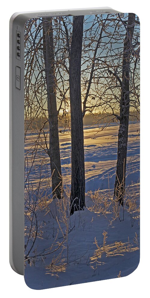 Tree Portable Battery Charger featuring the photograph Artistic Chena River Trees by Cathy Mahnke