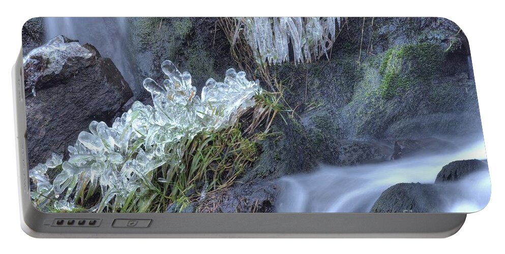 Ice Portable Battery Charger featuring the photograph Artistry In Ice 22 by David Birchall