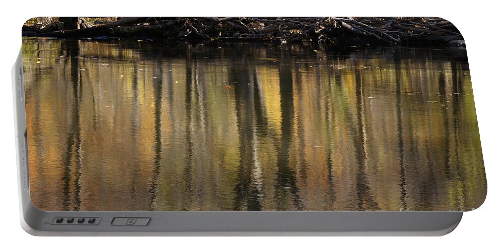 River Portable Battery Charger featuring the photograph As Through A Leafless Landscape Flows A River by Linda Shafer