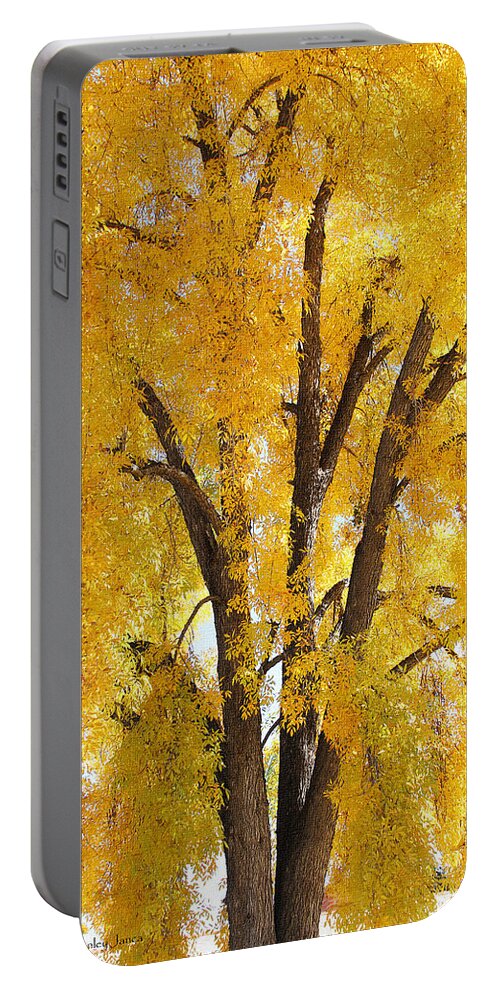 Ash's Fall Leaves Are Falling Portable Battery Charger featuring the photograph Ash's Fall Leaves Are Falling by Tom Janca