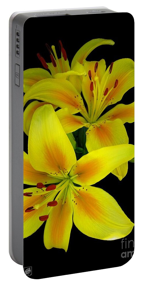 Asiatic Lily Portable Battery Charger featuring the photograph Asiatic Lily named Connecticut King by J McCombie