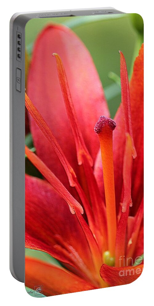 Mccombie Portable Battery Charger featuring the photograph Asiatic Lily named Red Twin by J McCombie