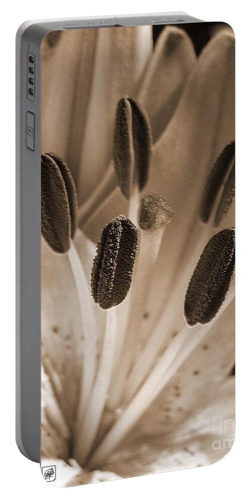 Asiatic Lily Portable Battery Charger featuring the photograph Asiatic Lily named Vermeer by J McCombie