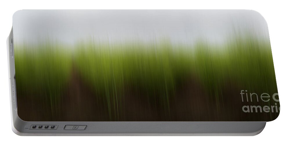 Abstract Portable Battery Charger featuring the photograph Asparagus Dreams by Barbara McMahon